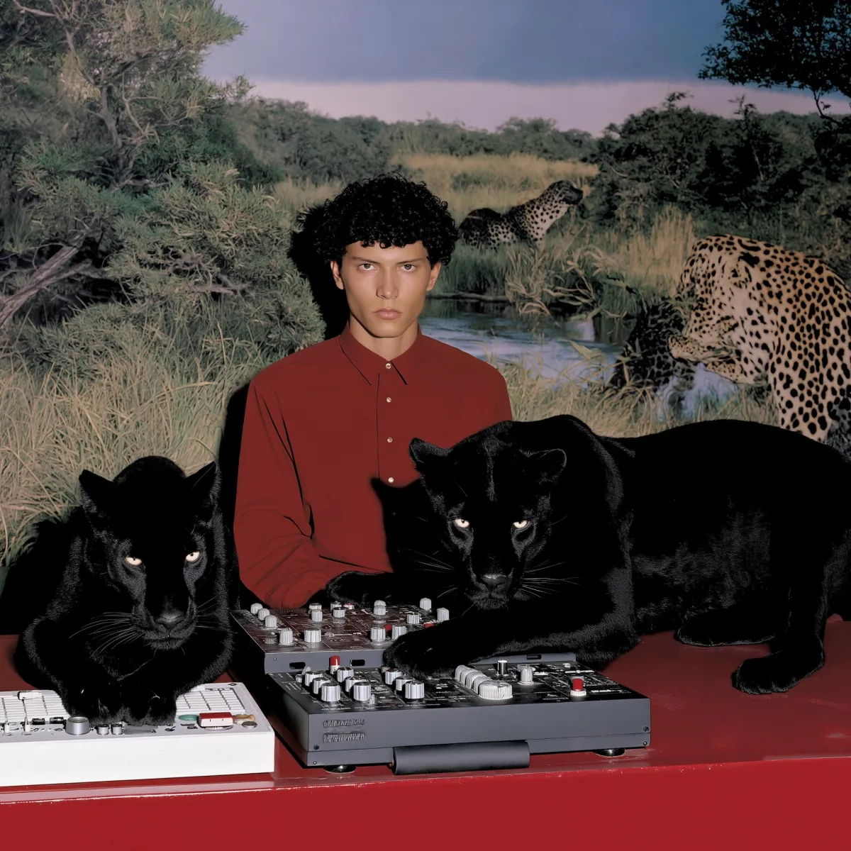 Panter Ritimleri: Sürreal Ses Editoryali