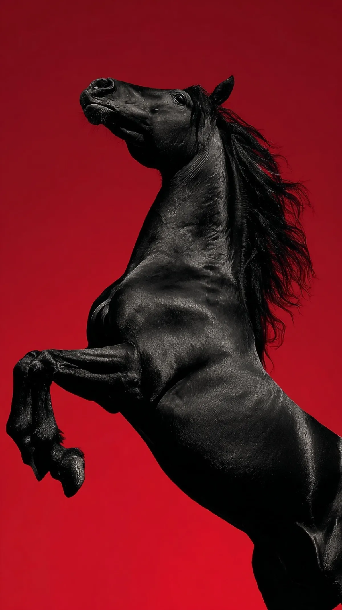 Kızıl ve Obsidyen: Şaha Kalkmış Siyah At